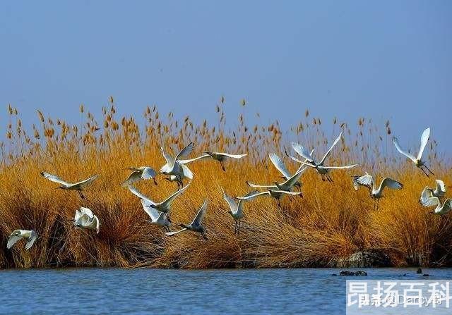 适合男人培养的兴趣爱好(男人必买清单35种东西) (http://www.cangchou.com/) 网络快讯 第25张